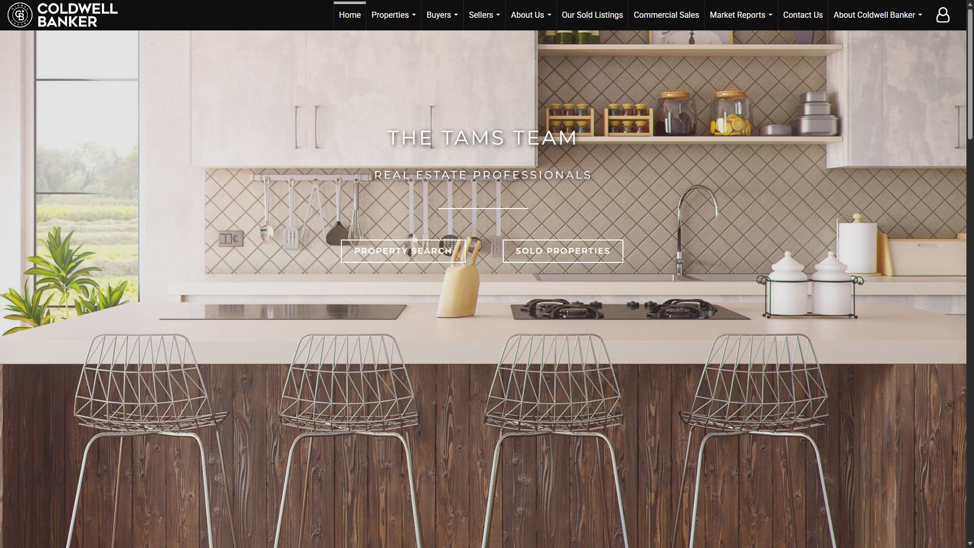 The Tams Team website preview